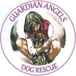 guardian angels logo